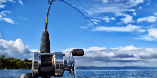 Rainbow Trout Fishing Lake Taupo optimized